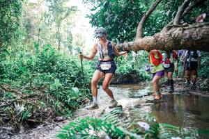 BIB: 
                            <button type="button" onclick="openModal(25458989)" class="btn btn-primary btn-sm float-right btn-popup" data-toggle="modal" data-target=".modal-high-quality">
                        <i class="fas fa-shopping-cart"></i> Add to Cart
                    </button>
                                            <button type="button" onclick="isThisMe(25458989, true)" class="btn btn-success btn-sm float-right btn-popup btn-isme hidden" data-toggle="tooltip" data-placement="bottom" title="นี่คือรูปของคุณใช่ไหม คลิกที่นี่เพื่อเอาเข้าอัลบั้ม">
                        <i class="fas fa-plus"></i> Add to album
                    </button>
                    <button type="button" onclick="isThisMe(25458989, false)" class="btn btn-warning btn-sm float-right btn-popup btn-isnotme hidden">
                        <i class="fas fa-ban"></i> Remove from album
                    </button>